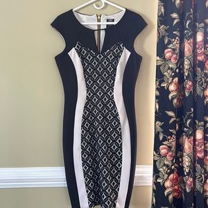 NWOT Form Fitting dress